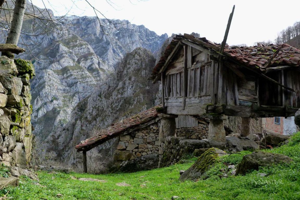 Apartamento La Nana Del Mar / The Lullaby Of The Sea On Old Harbour Cudillero Exterior foto